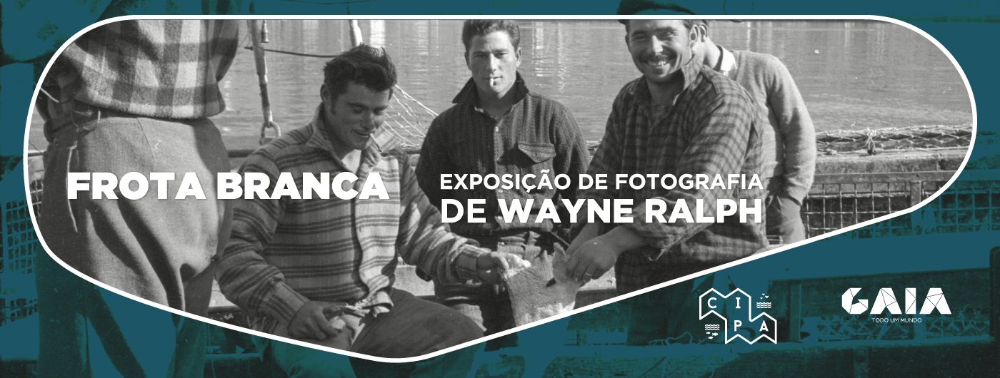 Exposição - Frota Branca