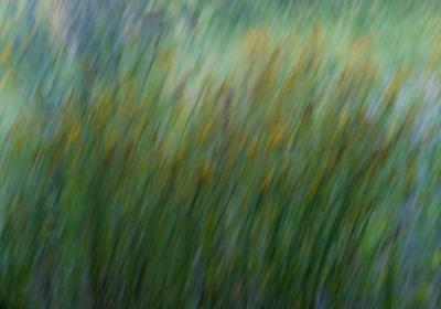 «Movimento» de Gaspar de Jesus