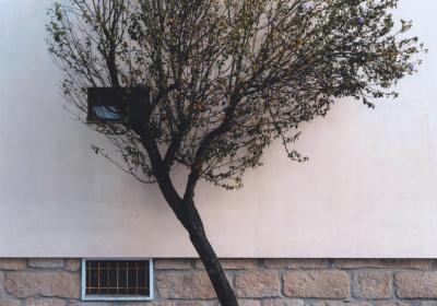 «Alicerce pintado»