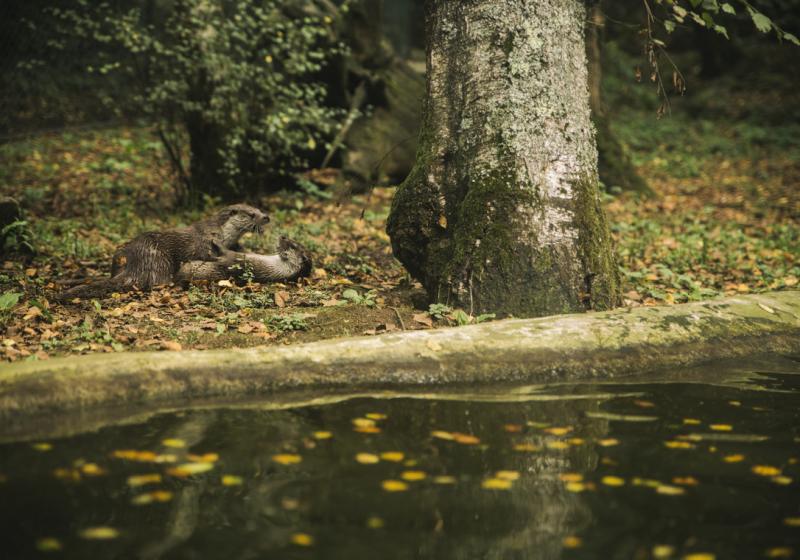 Image00002