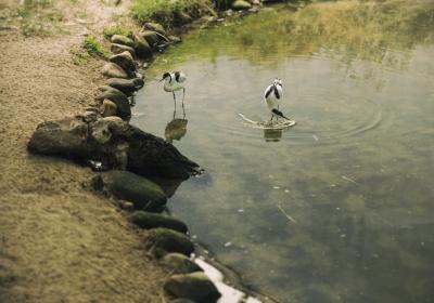 Image00008
