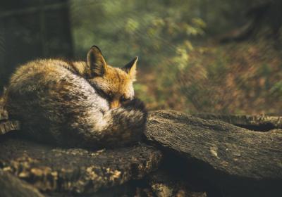 Image00012