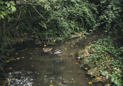 Image00014