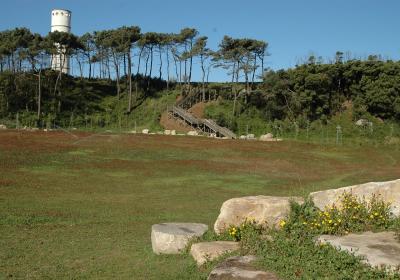 Dsc 0567