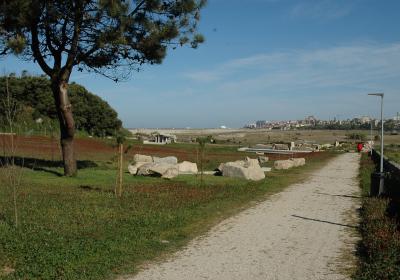 Dsc 0580