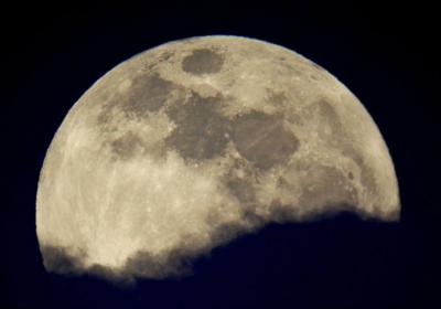 «The Spring Moon» de Miguel Claro