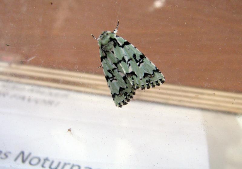 0805