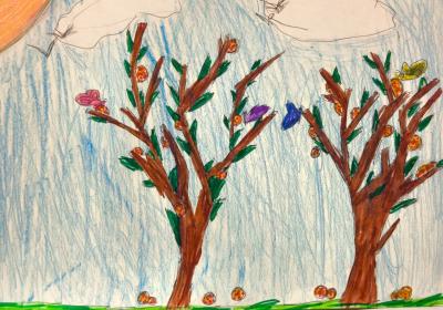 Projeto escolar Plante uma árvore nativa