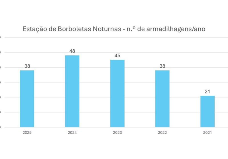 Ebn 2021 2025