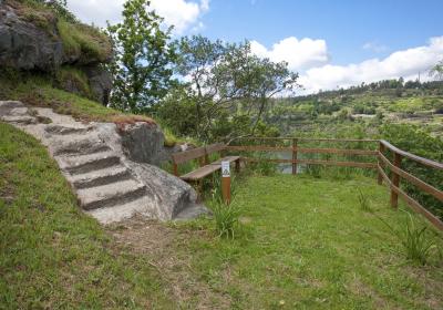 Image00015