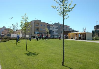 1dsc 4631