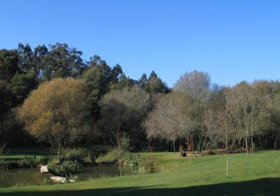 14122jg