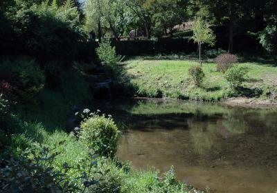 Lago