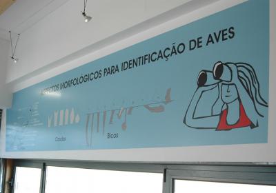 Ci54127