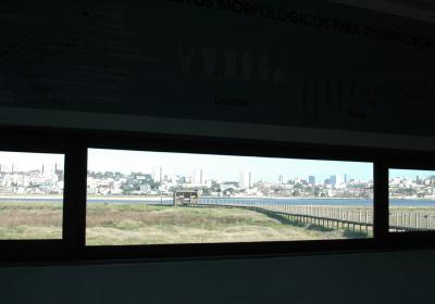 Ci544128