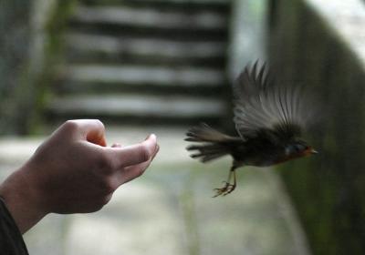 Image00006