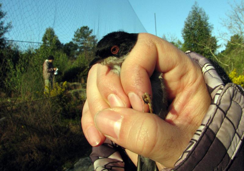 Image00007