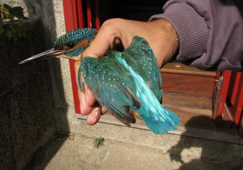 Image00013
