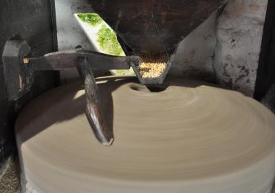 Image00011