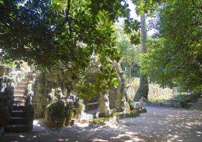 Image00011
