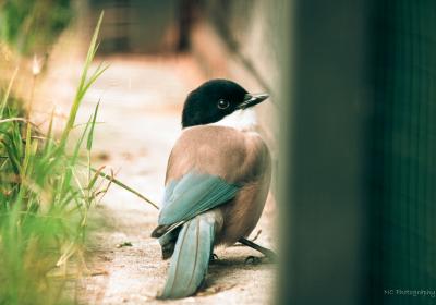 Image00001