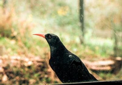 Image00008