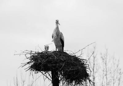 Image00014