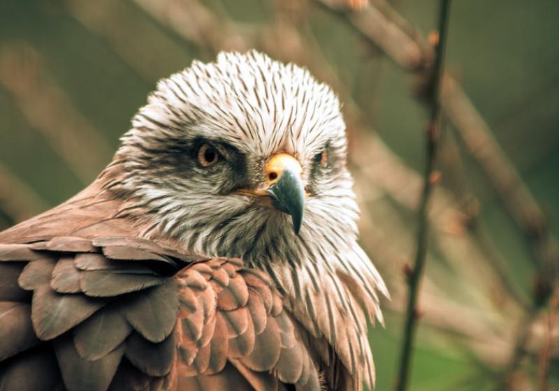 Image00022