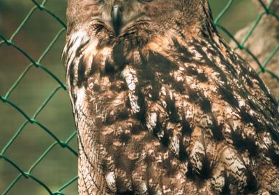 Image00023