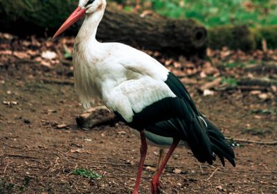 Image00024
