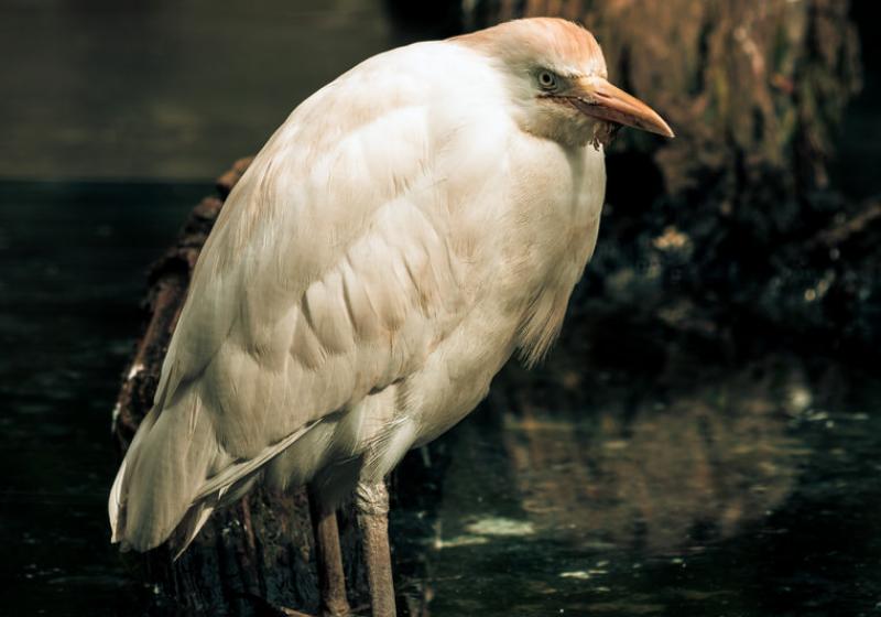 Image00025