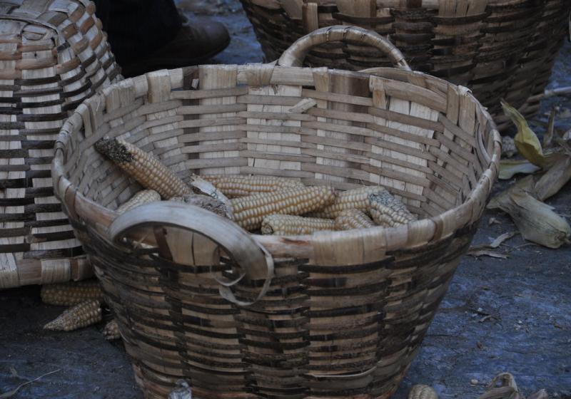 Image00012