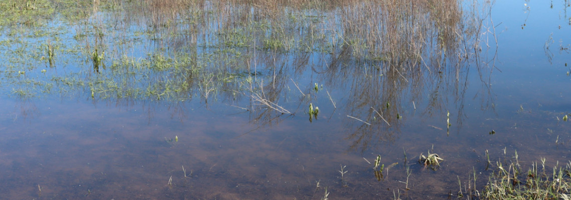 Habitats de água doce