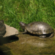 IMG_2147.JPG