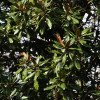 M_5720.jpg