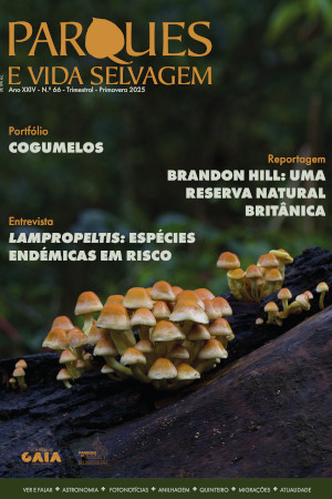 N.º 66 - Parques e Vida Selvagem