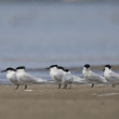 gIMG_0010_49.jpg