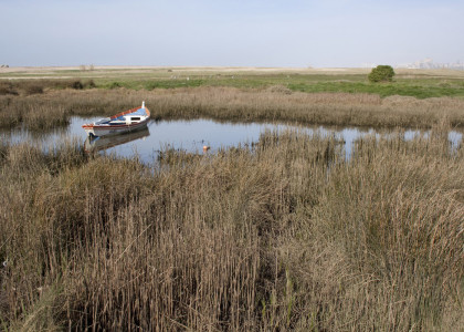 Habitats costeiros