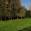 prado_4413a.jpg