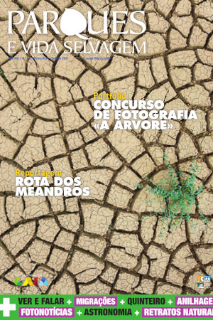 N.º 61 - Parques e Vida Selvagem